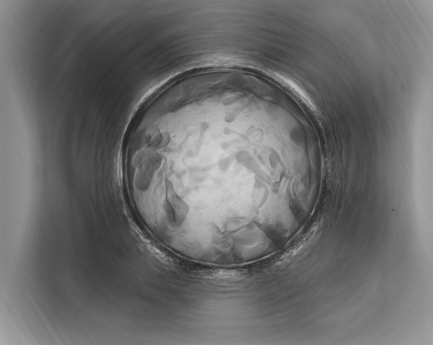 X0000112200839200908281438