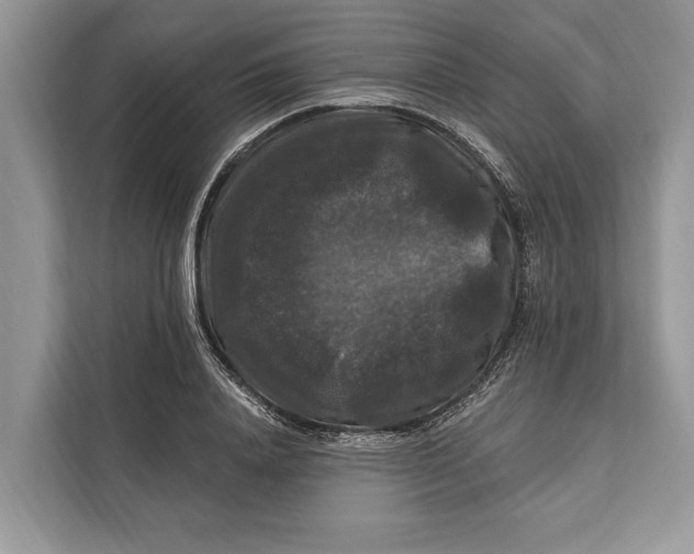 X0000112200840200908281438