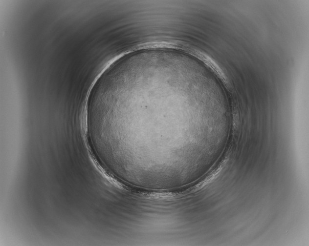 X0000112200844200908281438