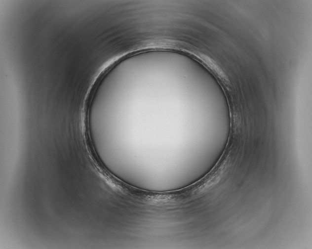 X0000112200846200908281438