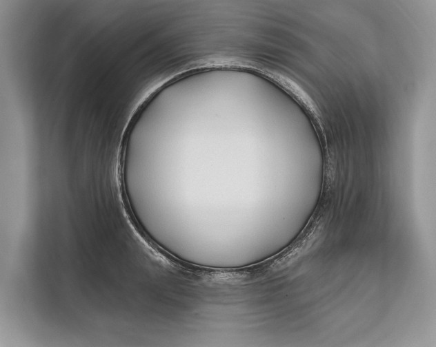 X0000112200847200908281438