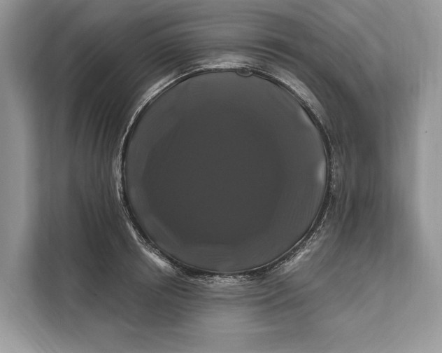 X0000112200850200908281438