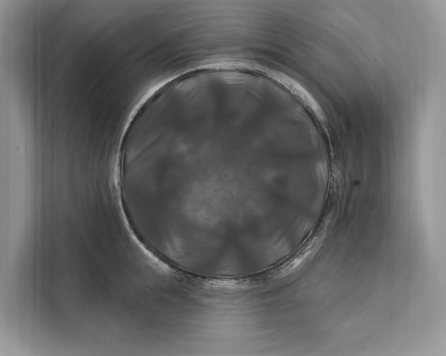 X0000112200855200908281438