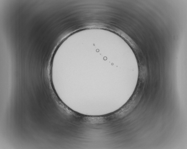 X0000112200856200908281438