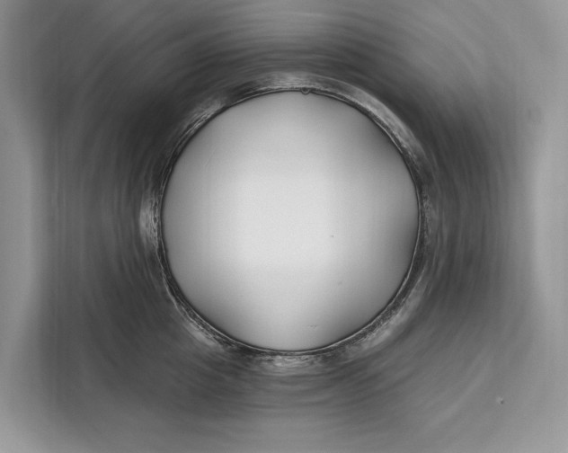 X0000112200857200908281438