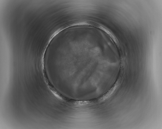 X0000112200858200908281438