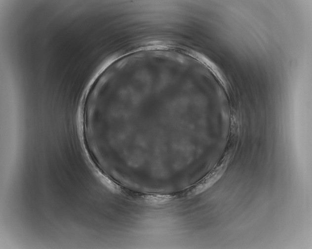 X0000112200859200908281438