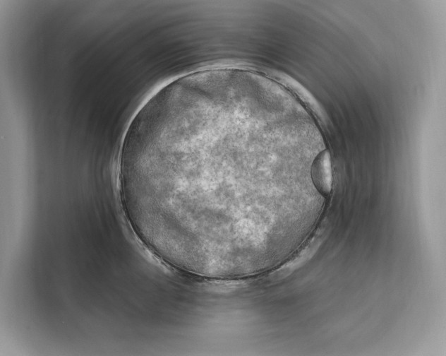 X0000112200860200908281438