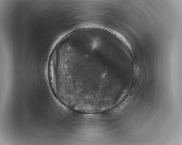 X0000112200863200908281438