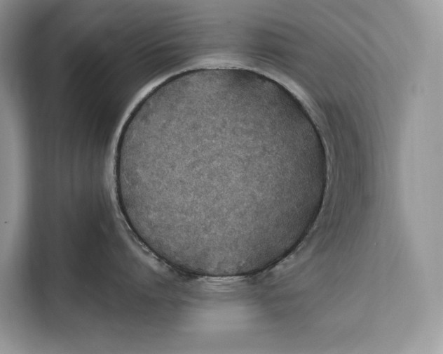 X0000112200864200908281438