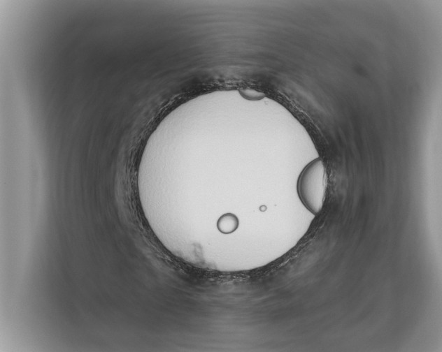 X0000112200865200908281437