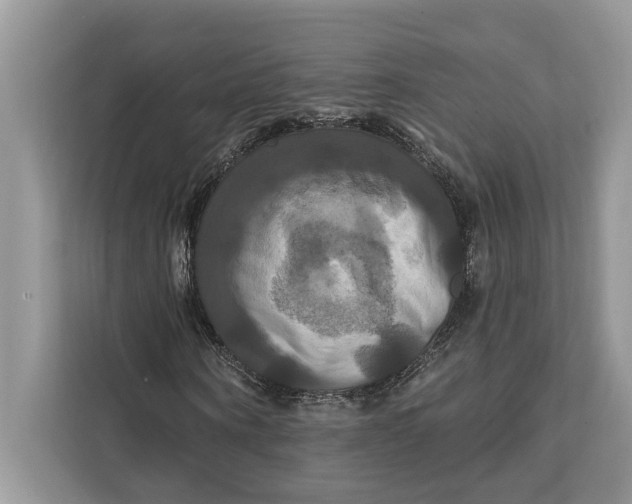 X0000112200866200908281437