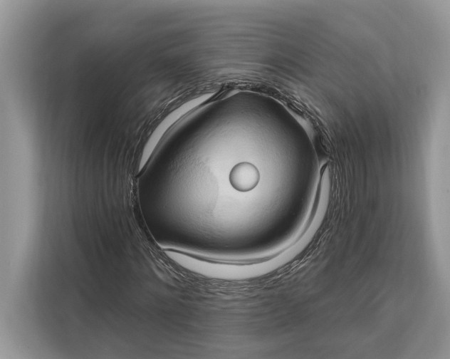 X0000112200868200908281437