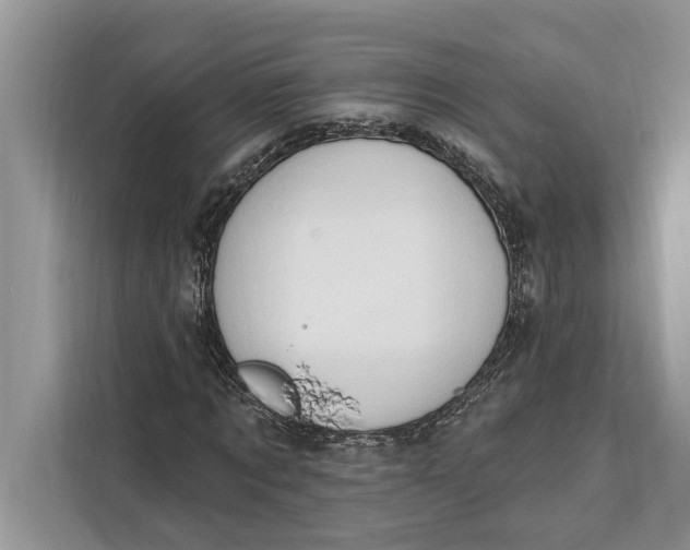 X0000112200869200908281437