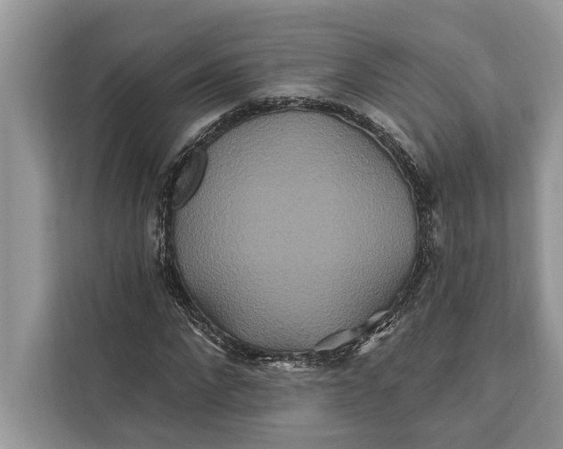 X0000112200872200908281437