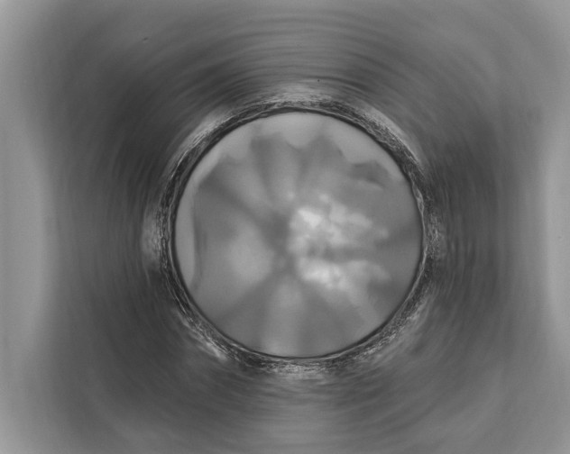 X0000112200874200908281437