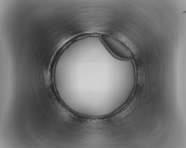 X0000112200876200908281437