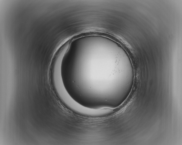 X0000112200877200908281437