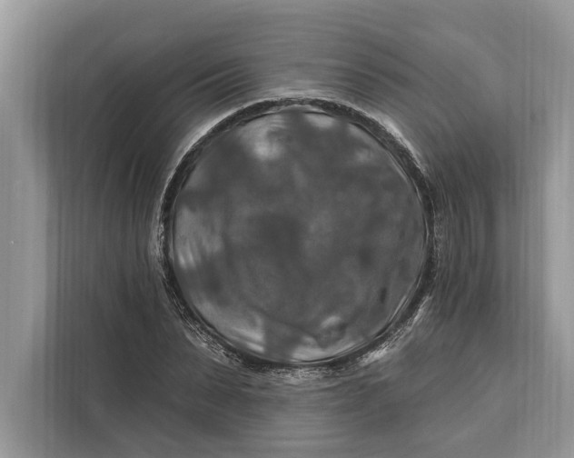 X0000112200879200908281437