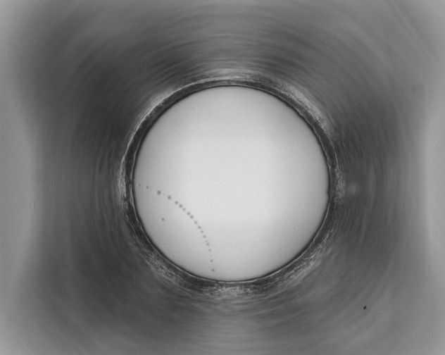 X0000112200883200908281437