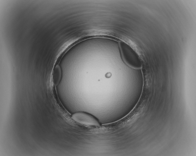 X0000112200885200908281437