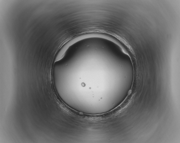 X0000112200889200908281437