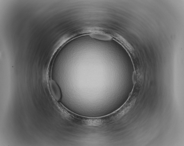 X0000112200893200908281437