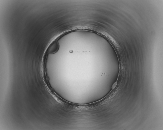 X0000112200894200908281437