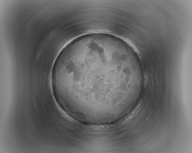 X0000112200895200908281437