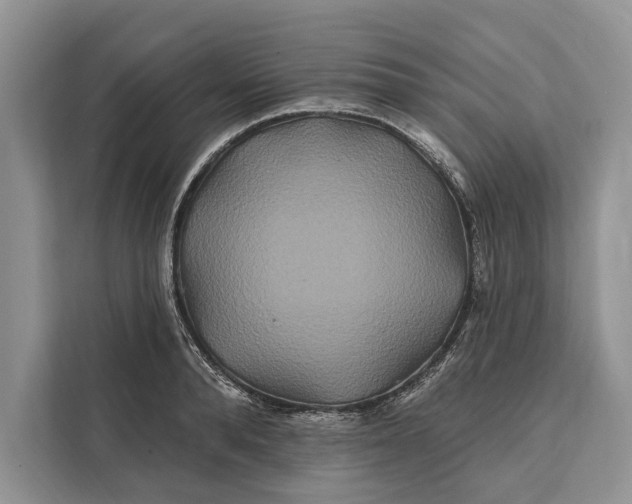 X0000112200896200908281437