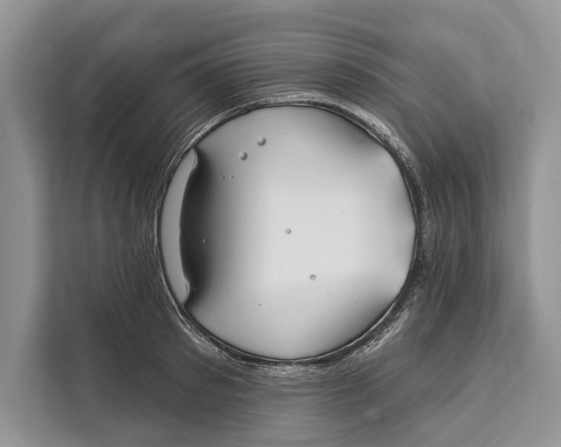 X0000112200897200908281437