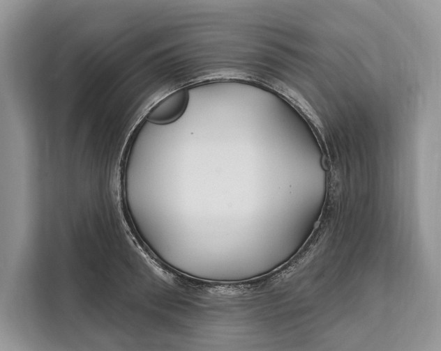 X0000112200898200908281437