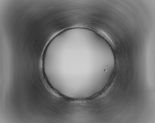 X0000112200900200908281437