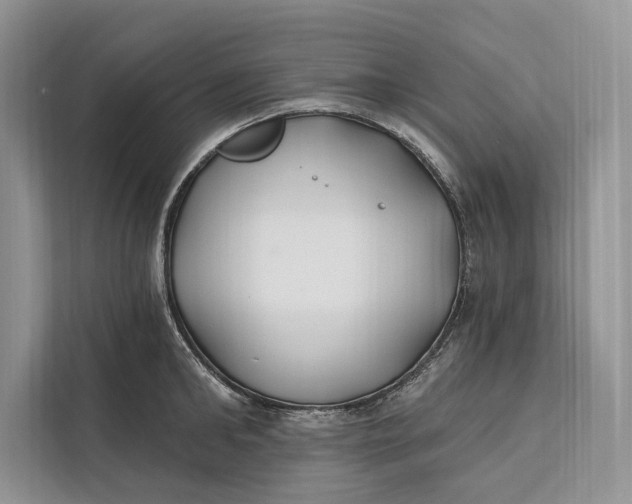 X0000112200902200908281437