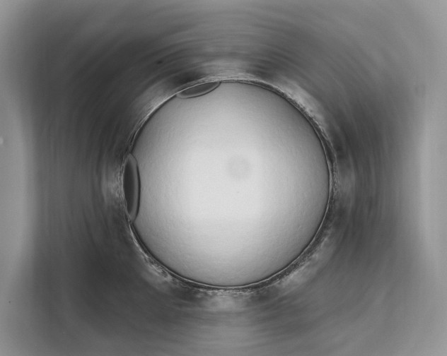 X0000112200905200908281437