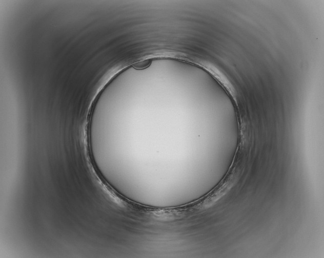 X0000112200906200908281437