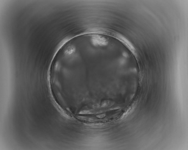 X0000112200907200908281437