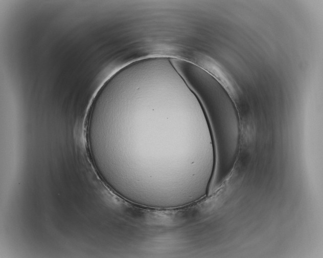 X0000112200908200908281437