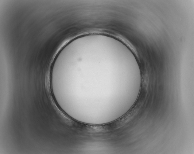 X0000112200911200908281437