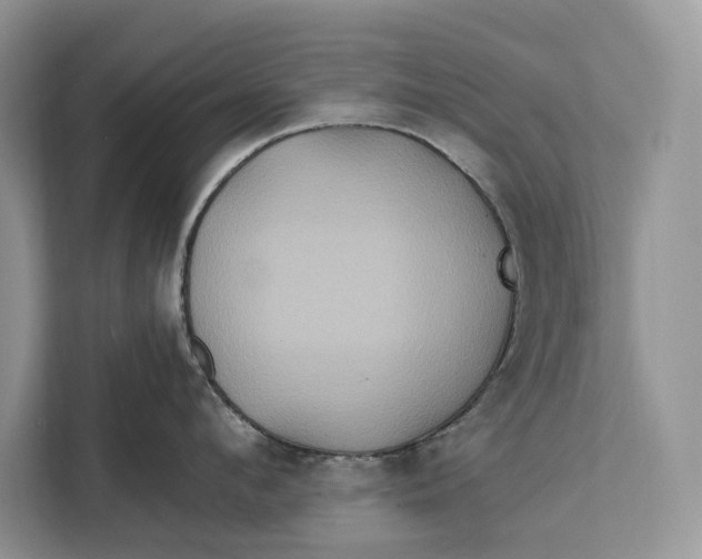 X0000112200912200908281437