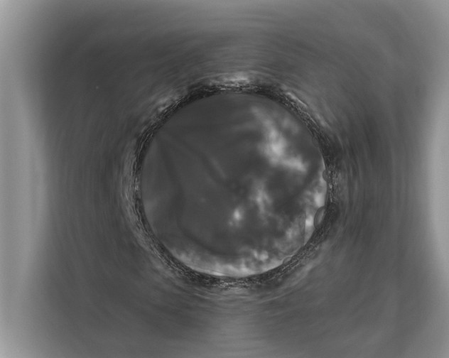 X0000112200913200908281436