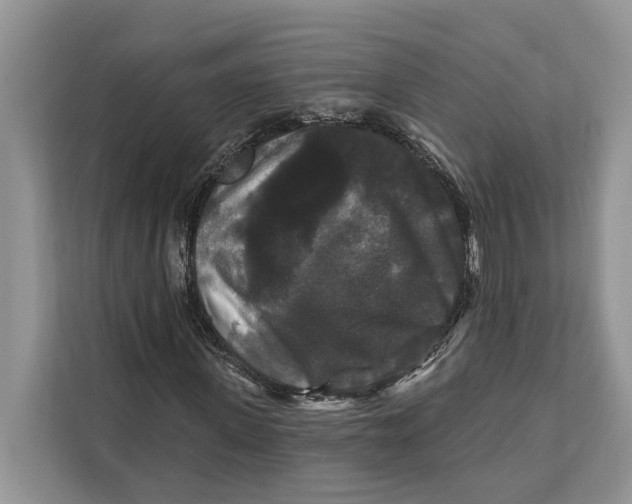 X0000112200915200908281436