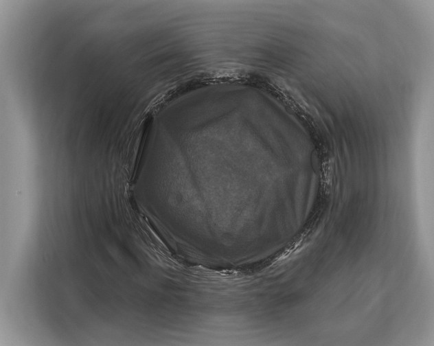 X0000112200916200908281436