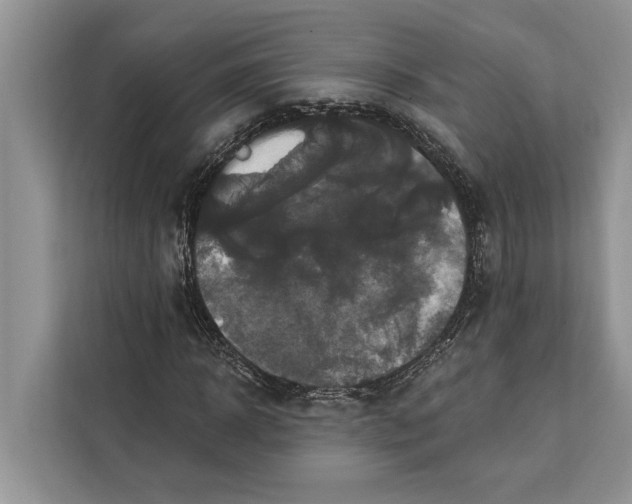 X0000112200918200908281436