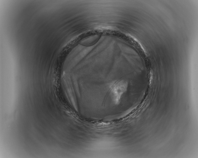 X0000112200919200908281436