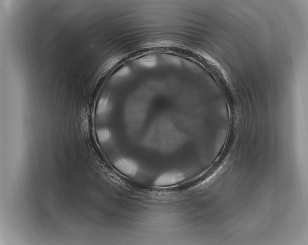 X0000112200921200908281436