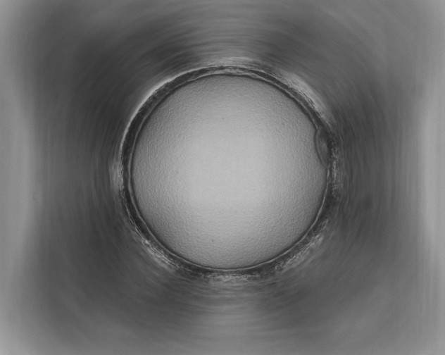 X0000112200924200908281436