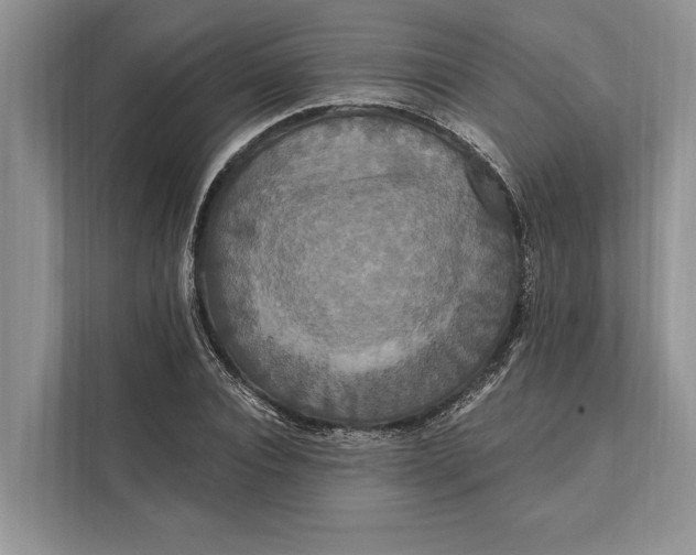 X0000112200928200908281436