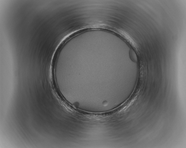 X0000112200932200908281436