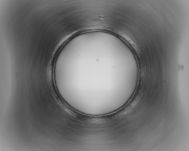 X0000112200933200908281436